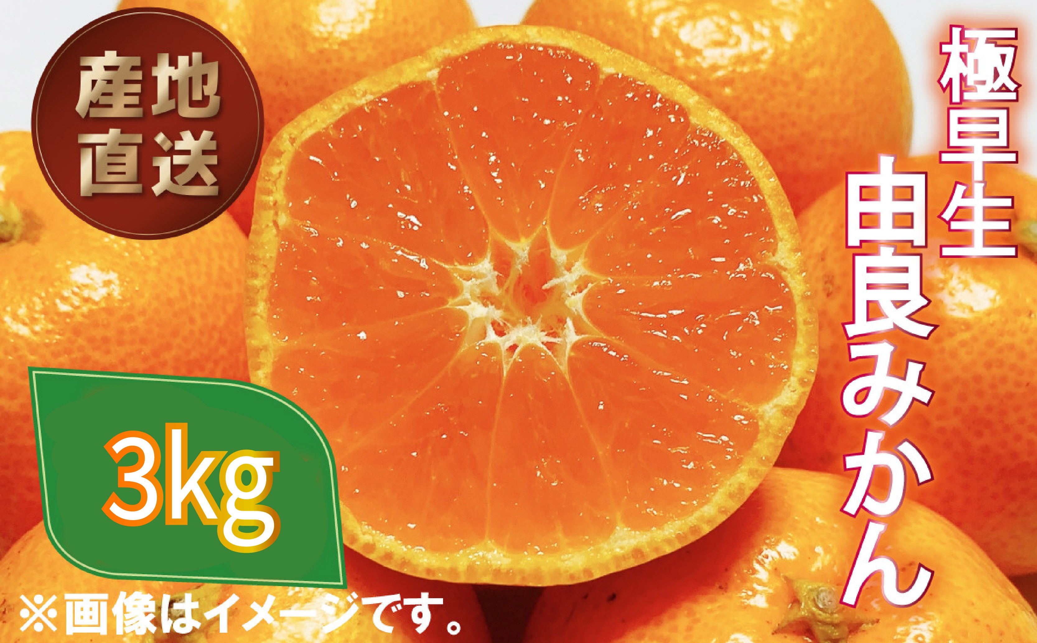 
                  極早生 由良 みかん 約 3kg 産地直送 柑橘 みかん 訳あり フルーツ 果物 蜜柑 オレンジ ゆらみかん ミカン ご家庭用 沼津 静岡
                