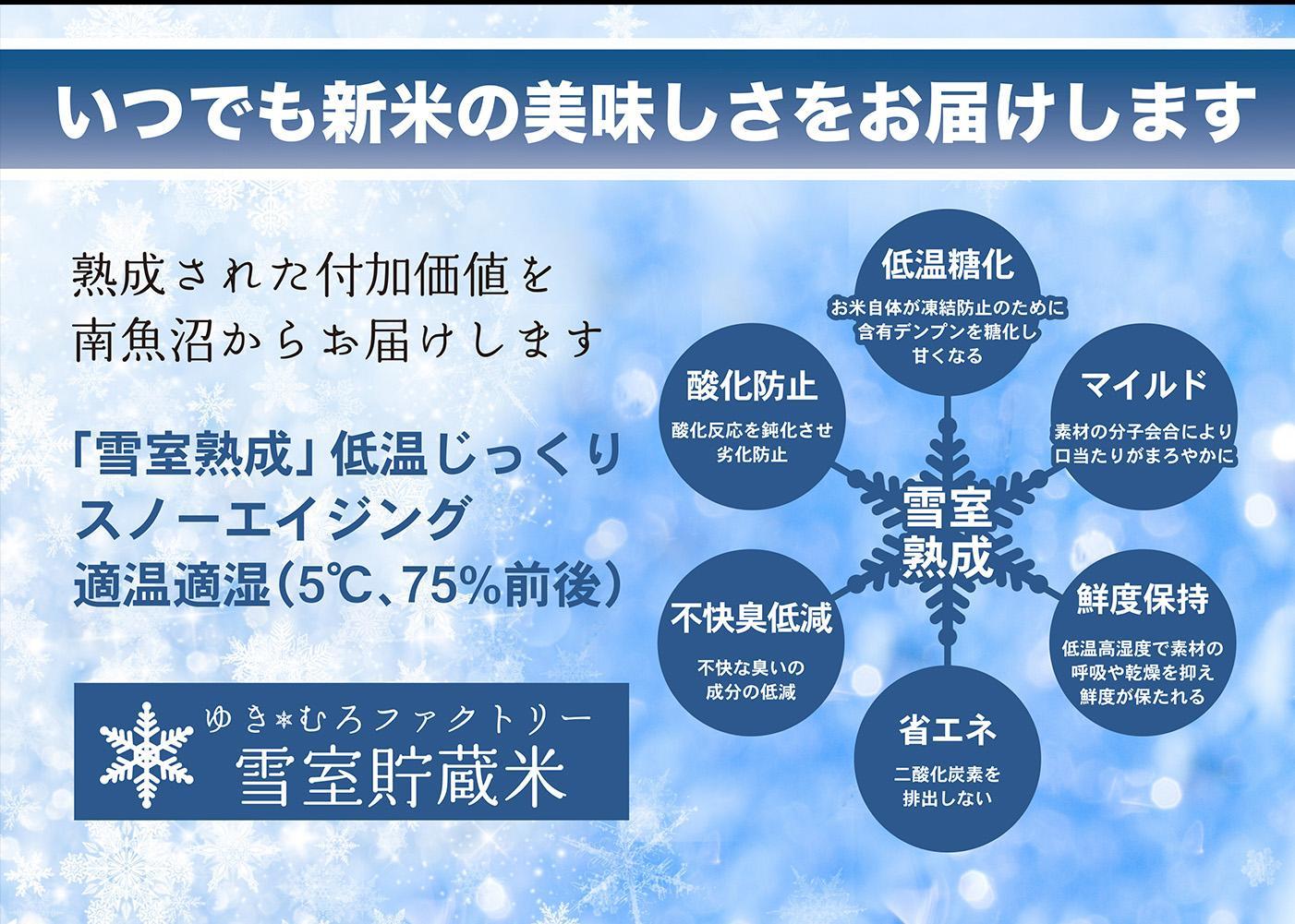 【令和７年産新米予約】無洗米【定期便5kg×12回】雪室貯蔵米 南魚沼産コシヒカリ【2025年10月下旬より順次発送予定】