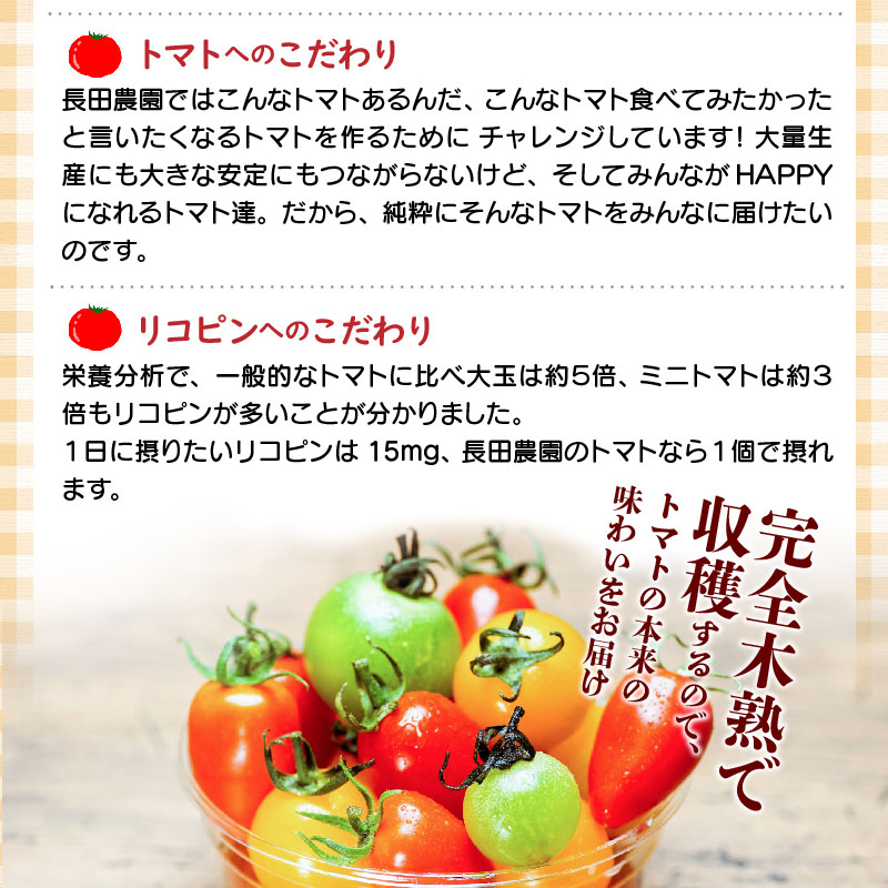 【お試し】たった3ヶ月しか食べられない　幻のファーストトマト 約700g　長田農園 産地直送 トマト とまと 野菜 やさい フルーツ サラダ 濃厚 甘い ご褒美 プレゼント 美容 健康 リピート多数 