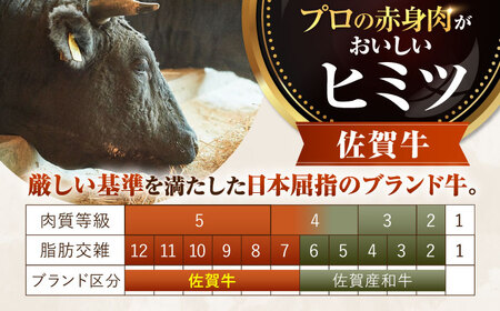 牛肉切り落とし 佐賀牛 計1kg 牛肉切り落とし[IAH006]