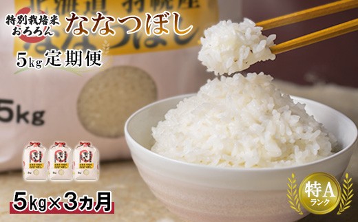 【2025年産】 【定期便：3回】 北海道羽幌産 特別栽培米 ななつぼし5kg