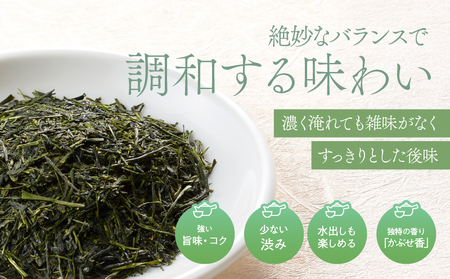 特上煎茶 清紹庵 300g（ 100g×3本 ）KN162-001-02 茶 お茶 日本茶 緑茶 茶葉 飲料 かぶせ一番茶 深蒸し茶 鹿児島県産 水出し 厳選 清紹茶庵いこい ふるさと納税 鹿児島 鹿