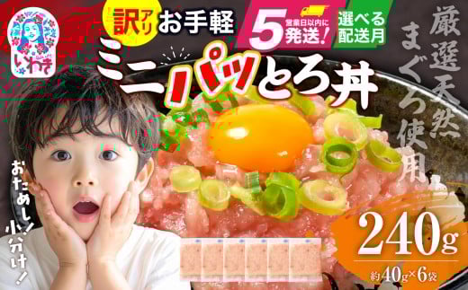 【2025年12月発送】ねぎとろ 約240g（約40g×6パック）小分け 冷凍 個包装 使い切りパック 1人前 まぐろたたき まぐろ