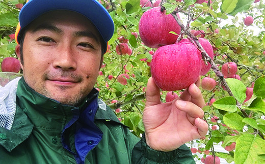 【贈答用】高級りんごはるか・サンふじ詰合せ！花巻産約3kg 【1246】