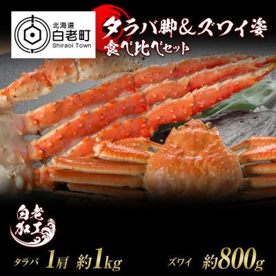 ふるさと納税 白老町 タラバ脚 &amp; ズワイ姿 食べ比べ セット BM063
