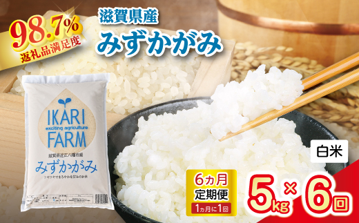 【新米】令和8年産みずかがみ　白米定期便　6か月で5kgを6回お届け（1か月に1回）【C036W2】（滋賀県　近江八幡市）
