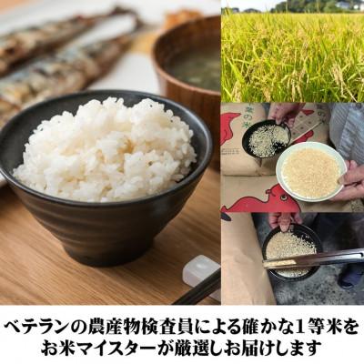 ふるさと納税 銚子市 【毎月定期便】千葉県産コシヒカリ 5kg全3回 |  | 03