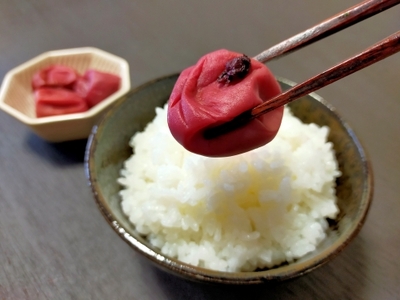 梅干し 計1kg 大粒梅干 南高梅 梅干