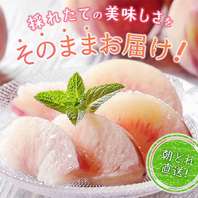 訳あり!桃 3kg前後 ご家庭 加工用に!【配送不可地域：離島・沖縄県】