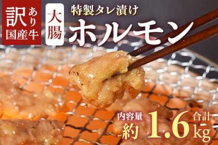 【訳あり】国産牛ホルモン大腸（特製タレ漬け）計1.6kg(400g×4袋)大腸を秘伝の特製タレに漬け込みました！