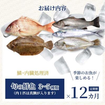 ふるさと納税 三原市 【12か月定期便】瀬戸内産 鮮魚 地魚詰め合わせ(3〜5種類)計12回お届け [154-011] |  | 01