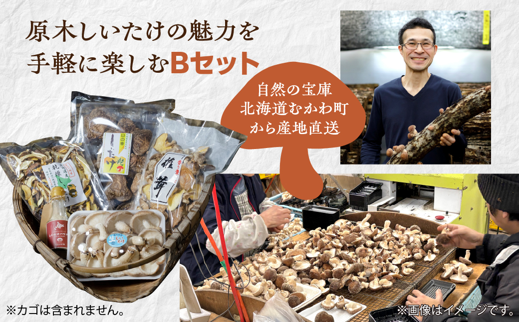 美味しさ詰まった貴重な原木しいたけ詰め合わせ　Bセット MKWN002