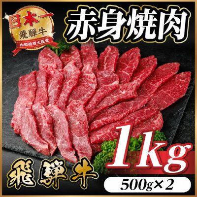 【ふるさと納税】飛騨牛 赤身(焼肉・BBQ用) 約1kg(約500g×2)【冷蔵便】A4～A5等級 黒毛和牛【配送不可地域：離島】【1646172】
