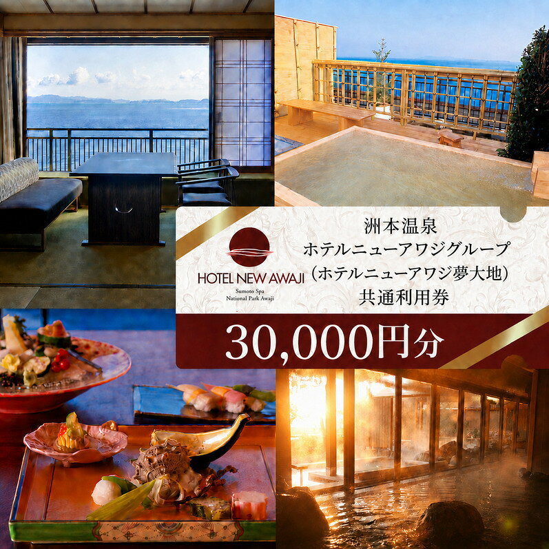 【ふるさと納税】ホテルニューアワジ グループ （ホテルニューアワジ夢大地） 共通 利用券 30000円分 洲本温泉 ホテル 宿 旅行 旅行券 宿泊 宿泊券 温泉 温泉宿泊券 温泉旅行 露天風呂 淡路牛 海鮮 淡路島 洲本市