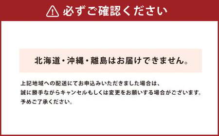 【配送指定日必須】天草産 活車海老 500g 大サイズ【発送期間2026年11月6日～2027年3月31日】