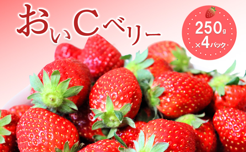 おすすめ品種「おいCベリー」4パック　250g×4パック　『とくしま安２（安全・安心）農産物』優秀認定取得