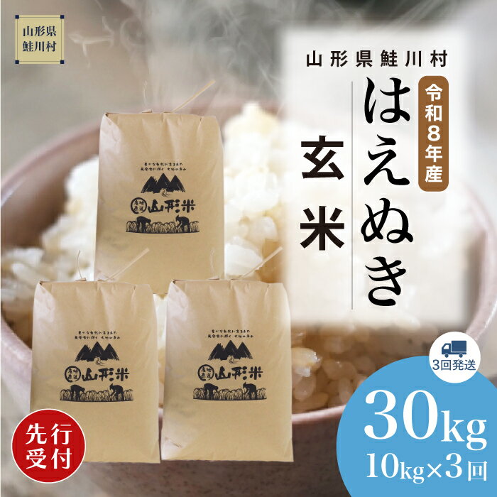 【ふるさと納税】＜令和8年産米先行受付＞ 鮭川村 はえぬき 【玄米】30kg （10kg×1ヶ月間隔で3回お届け）＜配送時期選べます＞