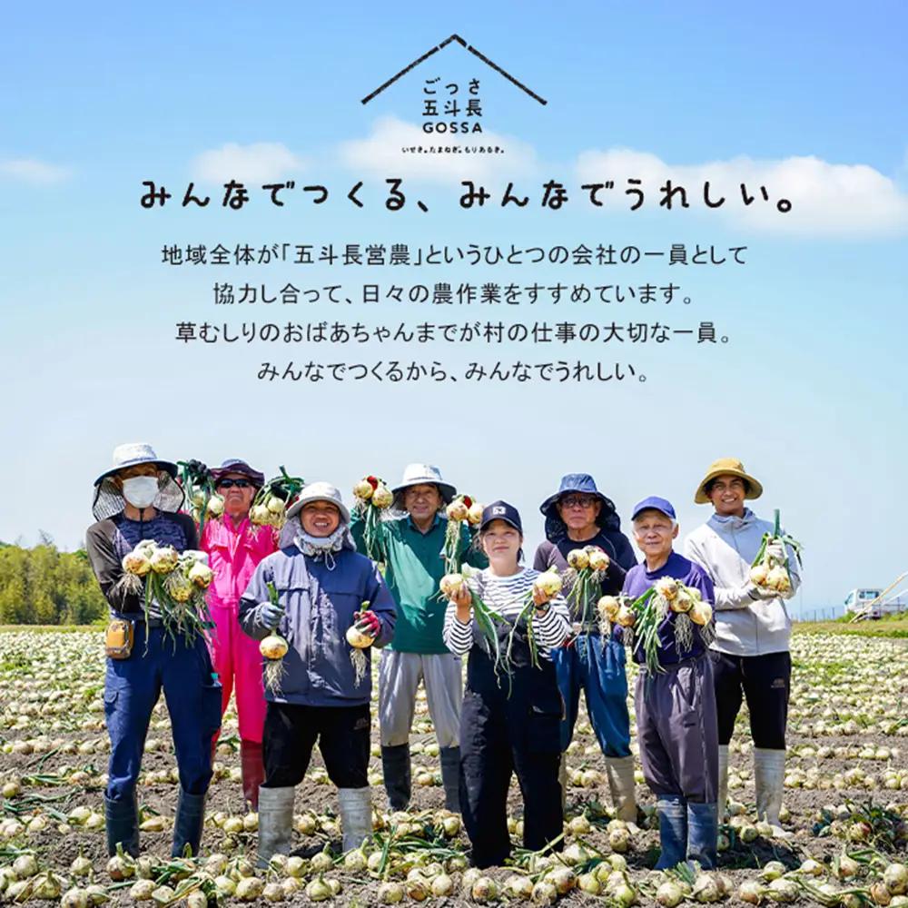 五斗長玉ねぎ 10kg　玉ねぎ