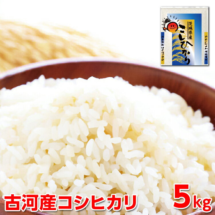 【ふるさと納税】【新米】令和7年産 古河産コシヒカリ（5kg）｜米 コメ こめ ごはん ご飯 ゴハン 白飯 単一米 国産 コシヒカリ こしひかり 5kg 茨城県 古河市 着日指定可 ギフト 贈答 贈り物 プレゼント お祝 ご褒美 景品 記念日 ※2025年9月上旬頃より順次発送予定 _DP07