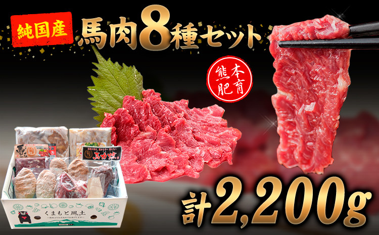 
            純国産 馬肉 8種セット 計2200g 熊本肥育 2年連続農林水産大臣賞受賞 送料無料 馬刺し 馬肉 馬スジ ホルモン 燻製 霜降り ハンバーグ 熊本県産山村《60日以内に出荷予定(土日祝除く)》
          