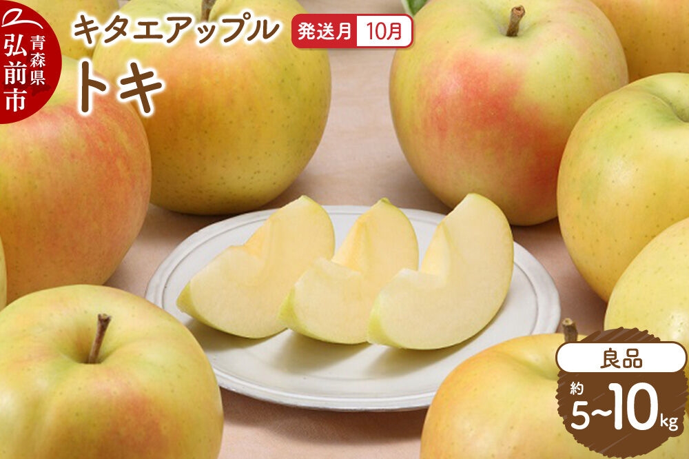 
                  りんご【26年10月発送】トキ【良品】【選べる約 5kg／10kg】キタエアップル 青森県 弘前市 [先行予約 トキ りんご 贈り物 アップル おいしい 果実 果物 黄色 美味 林檎]
                