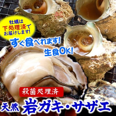 山陰の岩ガキ・サザエ詰合(大きさにより各4〜7個)　牡蠣は殺菌済　下処理済　生食OK　さざえ砂抜き済【配送不可地域：離島・北海道・沖縄県・東北】【1114072】
