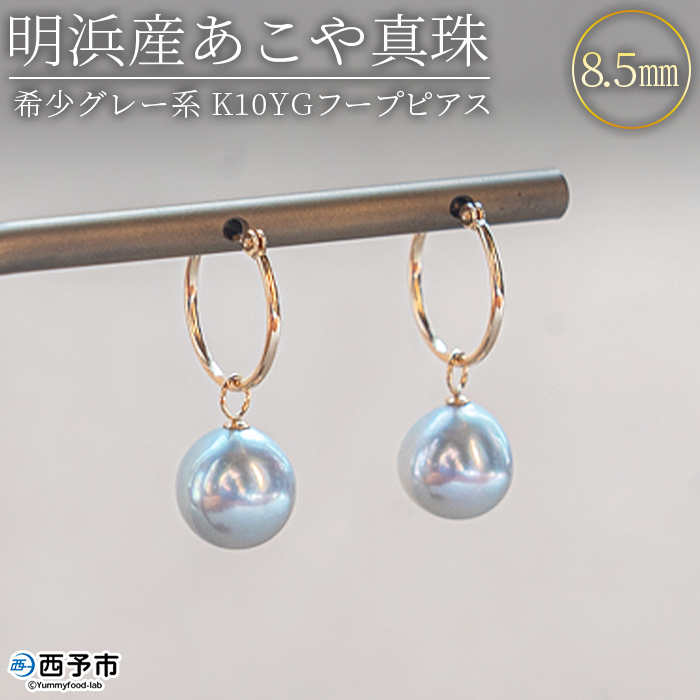 ＜明浜産あこや真珠8.5mm 希少グレー系 K10YGフープピアス＞ アコヤ真珠 パール パールチャーム ジュエリー アクセサリー プレゼント ギフト 贈答 記念日 品質保証書付き ナチュラルカラー PRAY akoyapearl 愛媛県 西予市 【常温】『1か月以内に順次出荷予定』