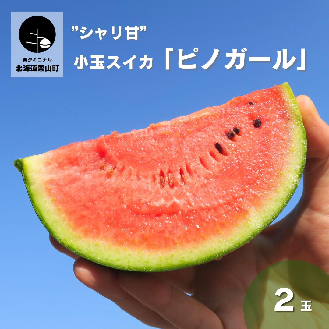 【ふるさと納税】小玉スイカ「ピノガール」2玉　北海道産”シャリ甘”