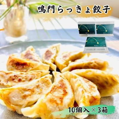 ふるさと納税 鳴門市 鳴門らっきょ餃子(10個入箱)×3箱セット