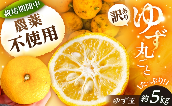 
                  【訳あり】【11月より順次発送】 かさぎのゆず ゆず玉 5kg / 柚子 ゆず 訳あり 家庭用 果物 くだもの フルーツ 柑橘 柑橘系 薬味 新鮮 丸ごと ゆべし 柚子湯 ゆず湯 産地直送 お取り寄せ / 恵那市 / かさぎゆず組合 [AUAW019]
                