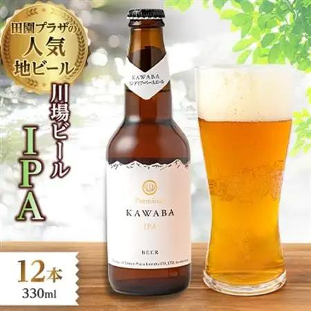 IPA　12本セット【1446343】