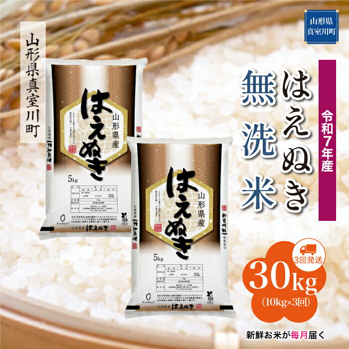 【ふるさと納税】 令和7年産 真室川町厳選 はえぬき ［無洗米］ 30kg 定期便（10kg×3回お届け）