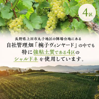 ふるさと納税 上田市 限定ワイン椀子シャルドネ ブロック4 ミッドナイト・ハーベスト 750ml3本 [54041146] |  | 02