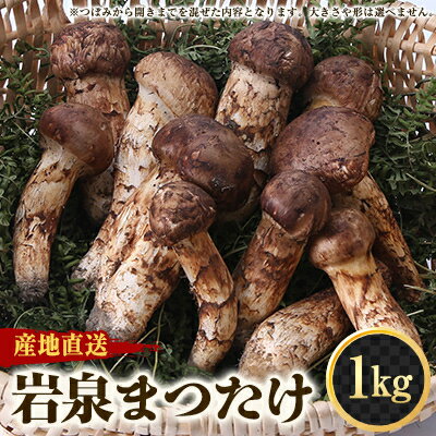 【ふるさと納税】≪産地直送≫　岩泉まつたけ 1kg【配送不可地域：離島】【1423716】