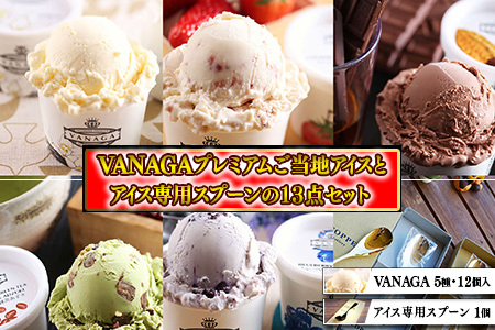 アイス ご当地アイス12個とアイス専用スプーン（ゴールド1本）の13点セット [AICN001]