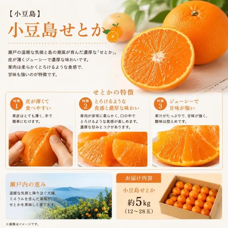 せとか 柑橘 フルーツ 小豆島産 せとか【約5kg】