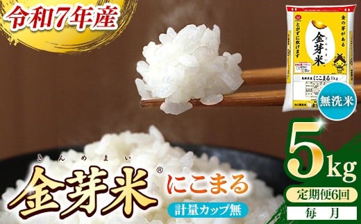 【定期便】BG無洗米・金芽米にこまる 5kg×6ヵ月 （毎月）計量カップ無し【令和7年産 6ヶ月 計30kg 東洋ライス 健康 島根県 安来市】