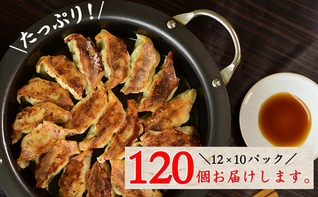 087-01-2 【ふるなびWEEK対象】国産素材にこだわった鹿児島黒豚餃子120個