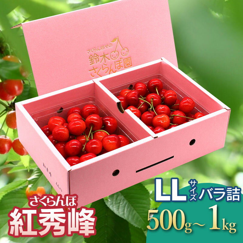 【ふるさと納税】【令和7年産先行予約】さくらんぼ 紅秀峰 バラ詰めLLサイズ 選べる容量［500g〜1kg］ 鈴木さくらんぼ園 | 山形県 鶴岡市 楽天 返礼品 フルーツ 果物 くだもの 取り寄せ グルメ サクランボ 2L お土産