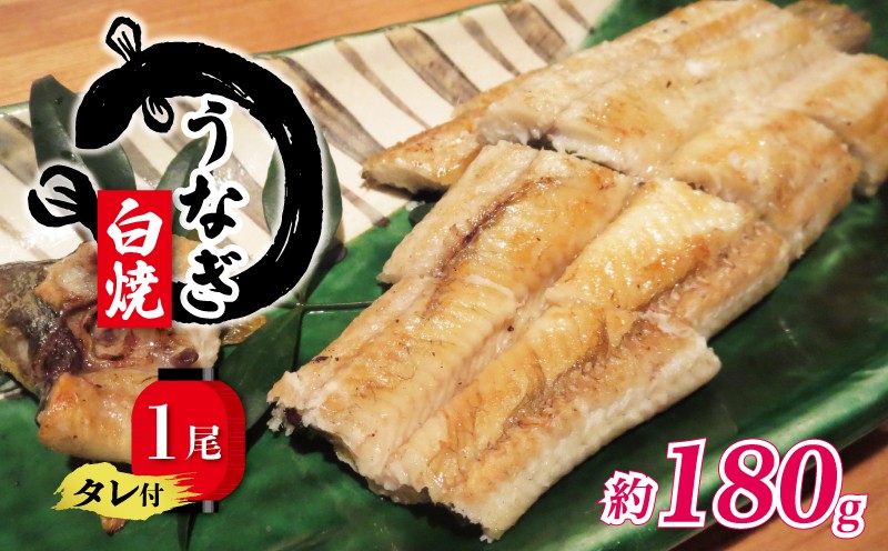 
            国産 うなぎ 白焼き 180g タレ付  ( グルメ うなぎ 鰻 新鮮 たれ  土曜 丑の日 真空パック おすすめ 滋賀県 竜王 送料無料 )
          