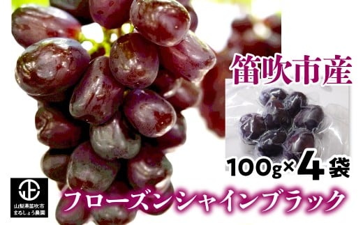 フローズンシャインブラック100g×4袋  小分け※冷凍発送　098-014