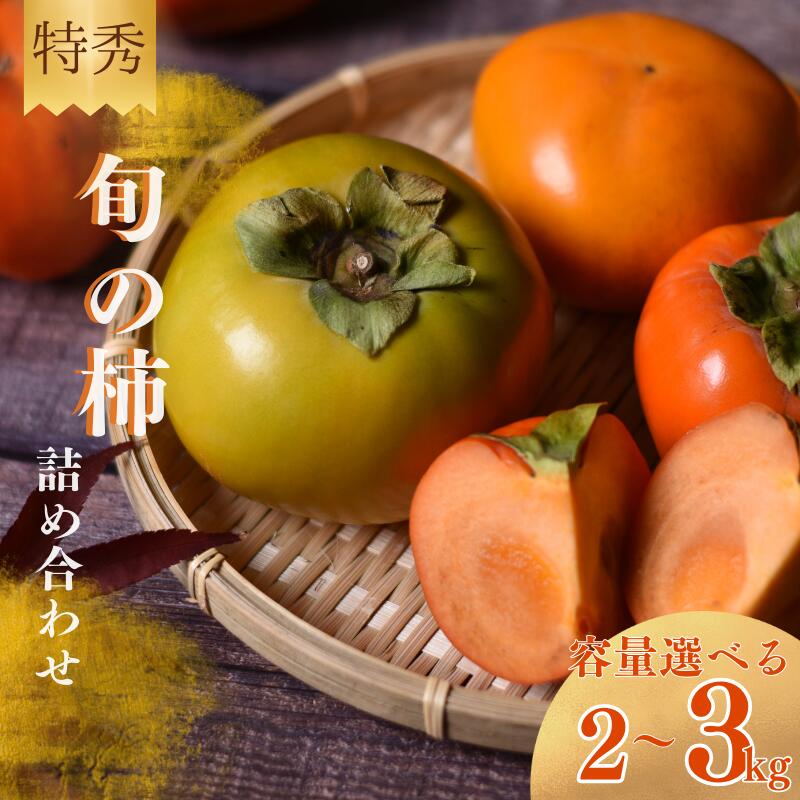 【ふるさと納税】 【☆令和7年産☆先行予約】 旬の 柿 詰め合わせ 【特秀】〈選べる容量 2kg 3kg 〉紀州和歌山産 【2025年10月上旬～11月下旬に順次発送】《 レビューキャンペーン 実施中 ! 》/ 詰め合わせ 柿 3kg 甘い 太秋柿 紀ノ川柿 富有柿 早秋柿 2kg 珍しい 希少