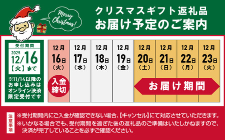 　【原価高騰により、令和7年6月1日より寄附金額見直し（値上げ）予定】【☆クリスマス☆】★数量限定★メリクリ♪九州産鶏ローストレッグ5本セット≪12月20日～23日お届け≫_14-1508-OJX