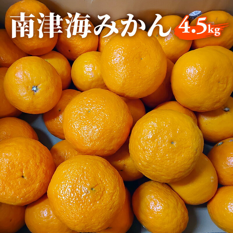【ふるさと納税】みかん 南津海（なつみ）みかん 4.5kg 柑橘 果物 フルーツ デザート ※配送不可:離島　お届け：2027年4月上旬～4月中旬まで