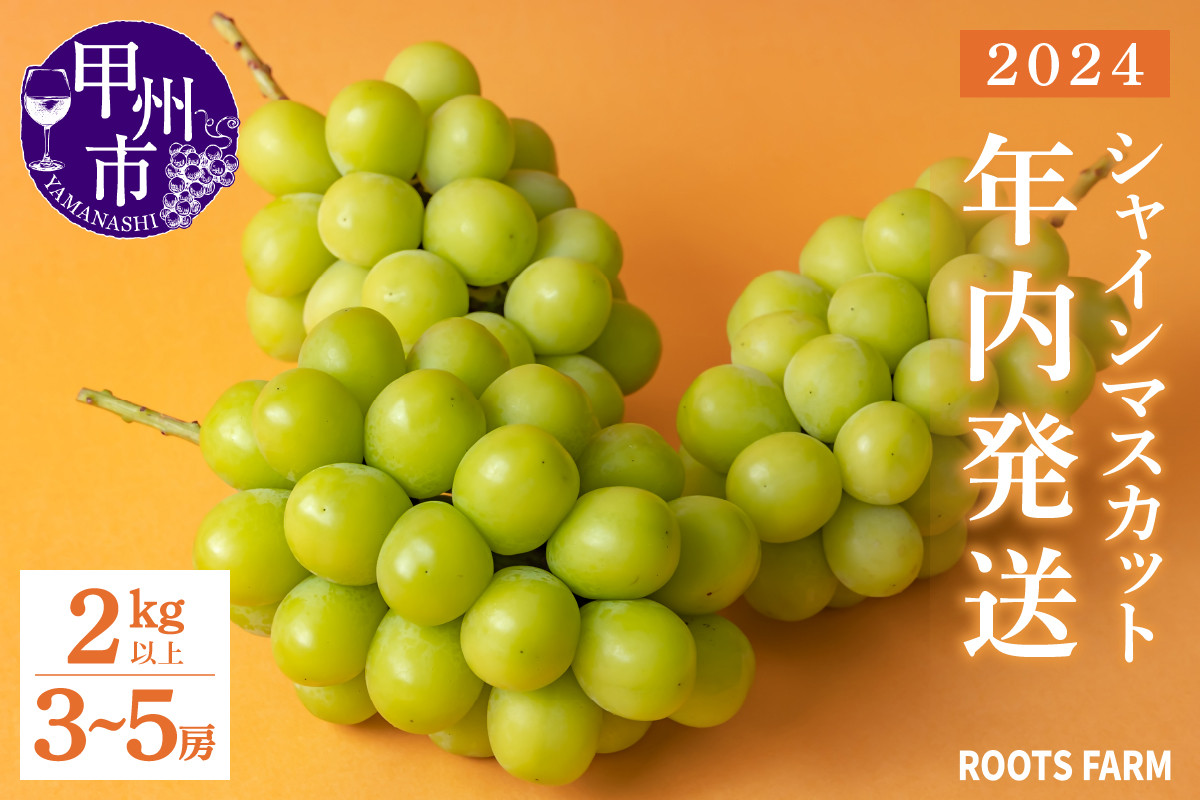 
            低温貯蔵シャインマスカット 2kg以上 3～5房【2024年配送】（RO）C5-139 【シャインマスカット 葡萄 ぶどう ブドウ 令和6年発送 期間限定 山梨県産 甲州市 フルーツ 果物】
          