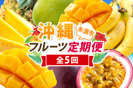 フルーツ 定期便 全 5回 名護パイン園 マンゴー バナナ パッション ドラゴンフルーツ パイナップル