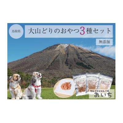 ふるさと納税 米子市 鳥取県米子市!大山どりで作るわんことにゃんこのための無添加手作りおやつ贅沢3品盛り合わせ!
