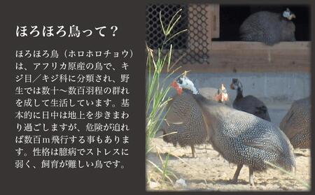 奄美 黒ほろほろ鳥 　むね 2枚