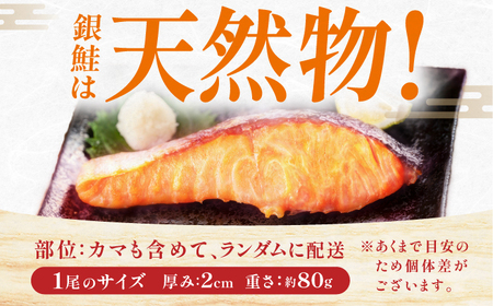 銀鮭 切り身　1kg　広川町 / 株式会社イールファクトリー[AFBS025]