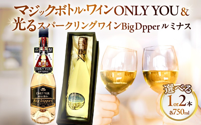 
                  ≪選べる返礼品≫マジックボトル・ワイン ONLY YOU
                
